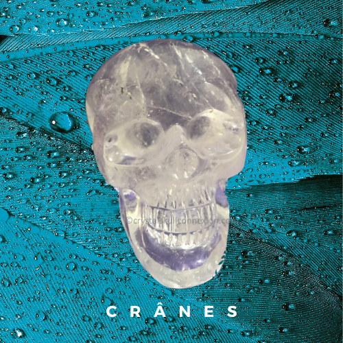 Crystal Skulls Shop, bienvenue sur notre site dédié aux crânes de